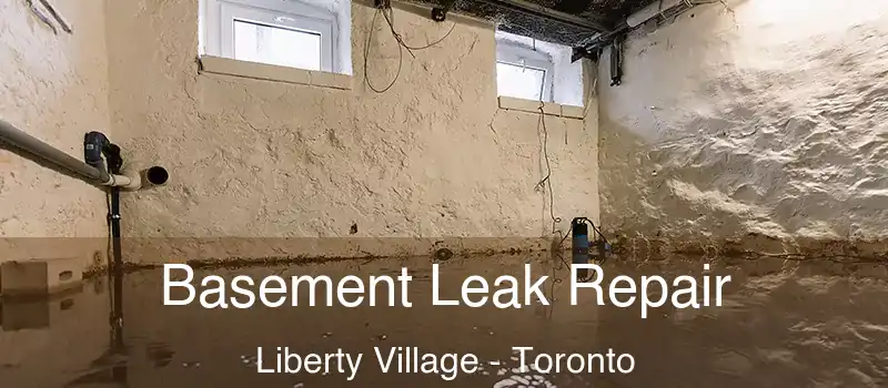 Basement Leak Repair Liberty Village - Toronto
