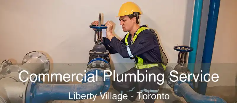 Commercial Plumbing Service Liberty Village - Toronto