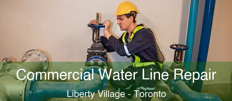 Commercial Water Line Repair Liberty Village - Toronto