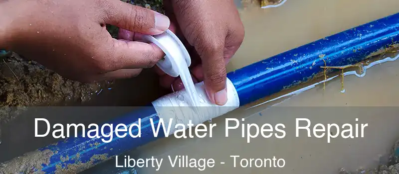 Damaged Water Pipes Repair Liberty Village - Toronto