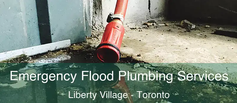 Emergency Flood Plumbing Services Liberty Village - Toronto