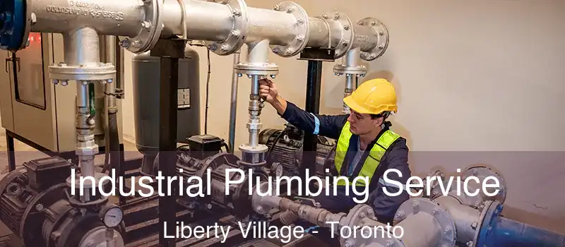 Industrial Plumbing Service Liberty Village - Toronto