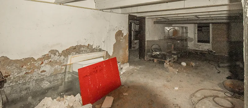 Home Basement Renovation in Liberty Village, Toronto