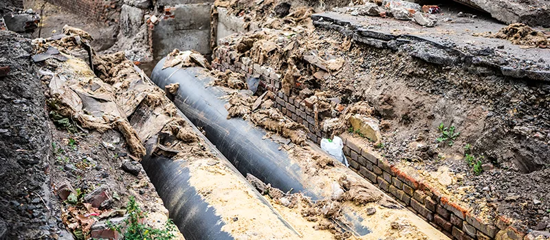 Commercial Sewer Tree Roots Damage Solutions in Liberty Village, Toronto