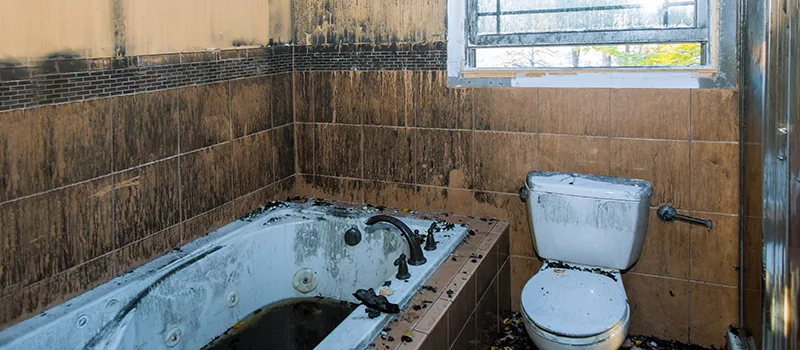 Residential Water Damage Restoration in Liberty Village, Toronto