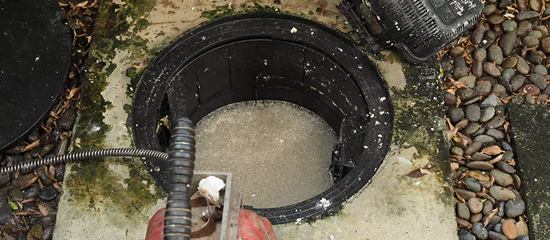 Hydro Jetting For Root Removal in Liberty Village, Toronto