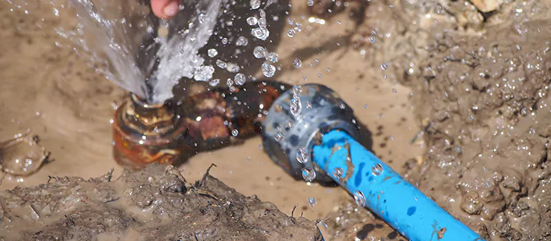 Reasons to Replace Your Lead Pipes in Liberty Village, Toronto