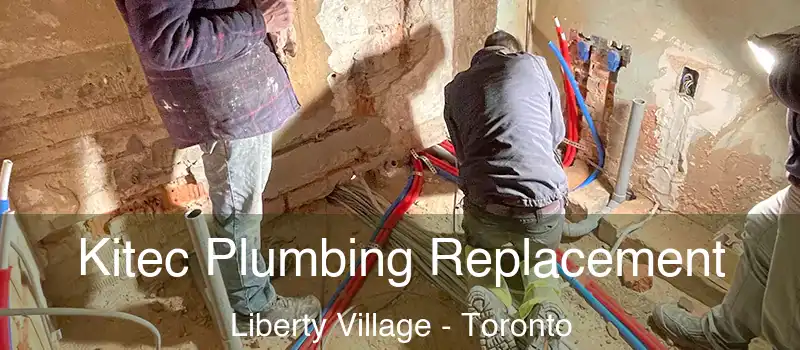 Kitec Plumbing Replacement Liberty Village - Toronto