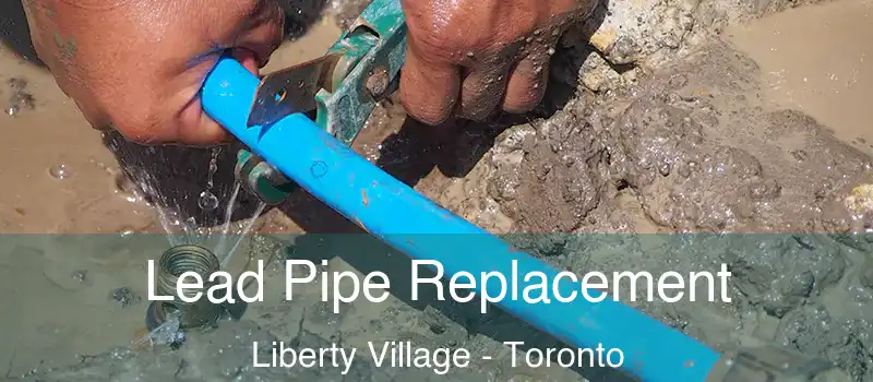 Lead Pipe Replacement Liberty Village - Toronto