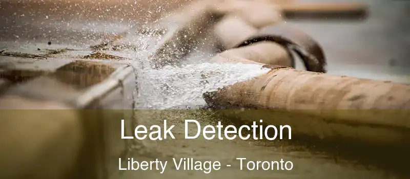 Leak Detection Liberty Village - Toronto
