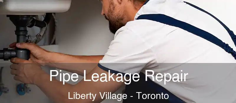 Pipe Leakage Repair Liberty Village - Toronto