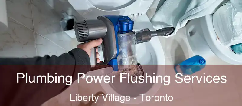 Plumbing Power Flushing Services Liberty Village - Toronto