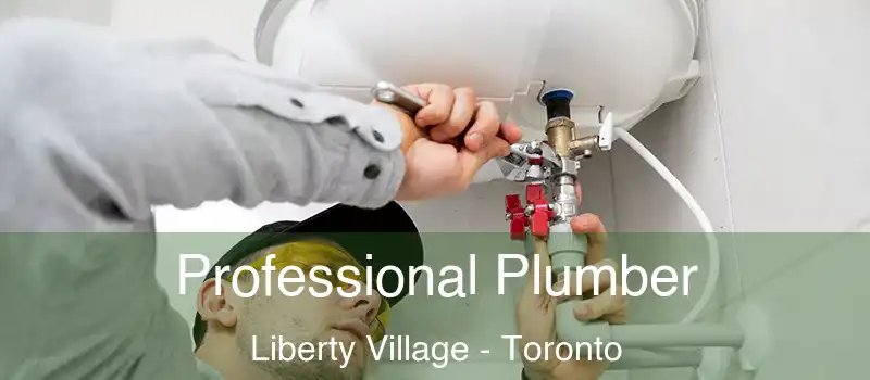 Professional Plumber Liberty Village - Toronto