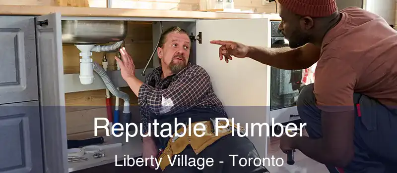 Reputable Plumber Liberty Village - Toronto