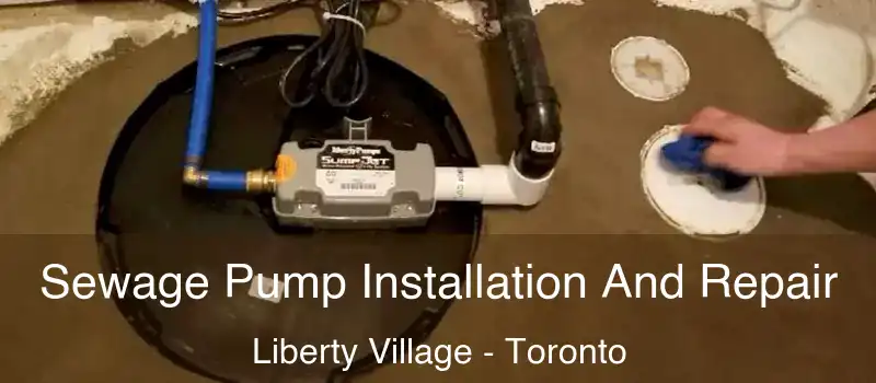 Sewage Pump Installation And Repair Liberty Village - Toronto