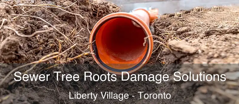 Sewer Tree Roots Damage Solutions Liberty Village - Toronto