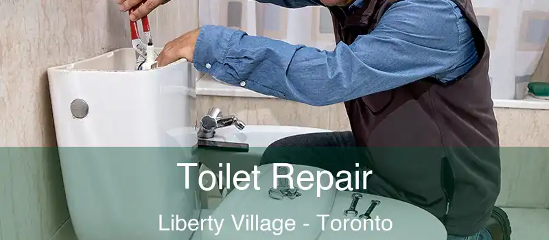 Toilet Repair Liberty Village - Toronto