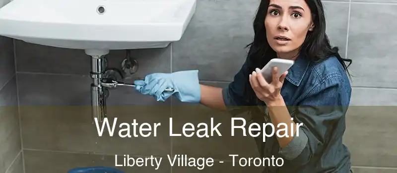 Water Leak Repair Liberty Village - Toronto
