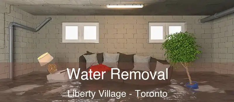 Water Removal Liberty Village - Toronto
